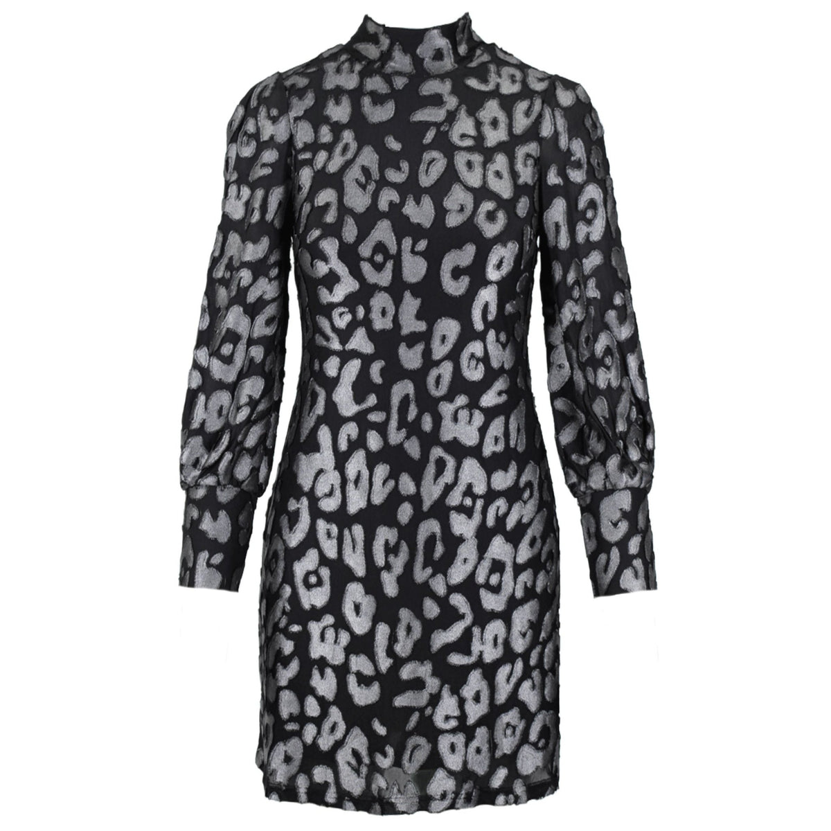 Leo short dress silver