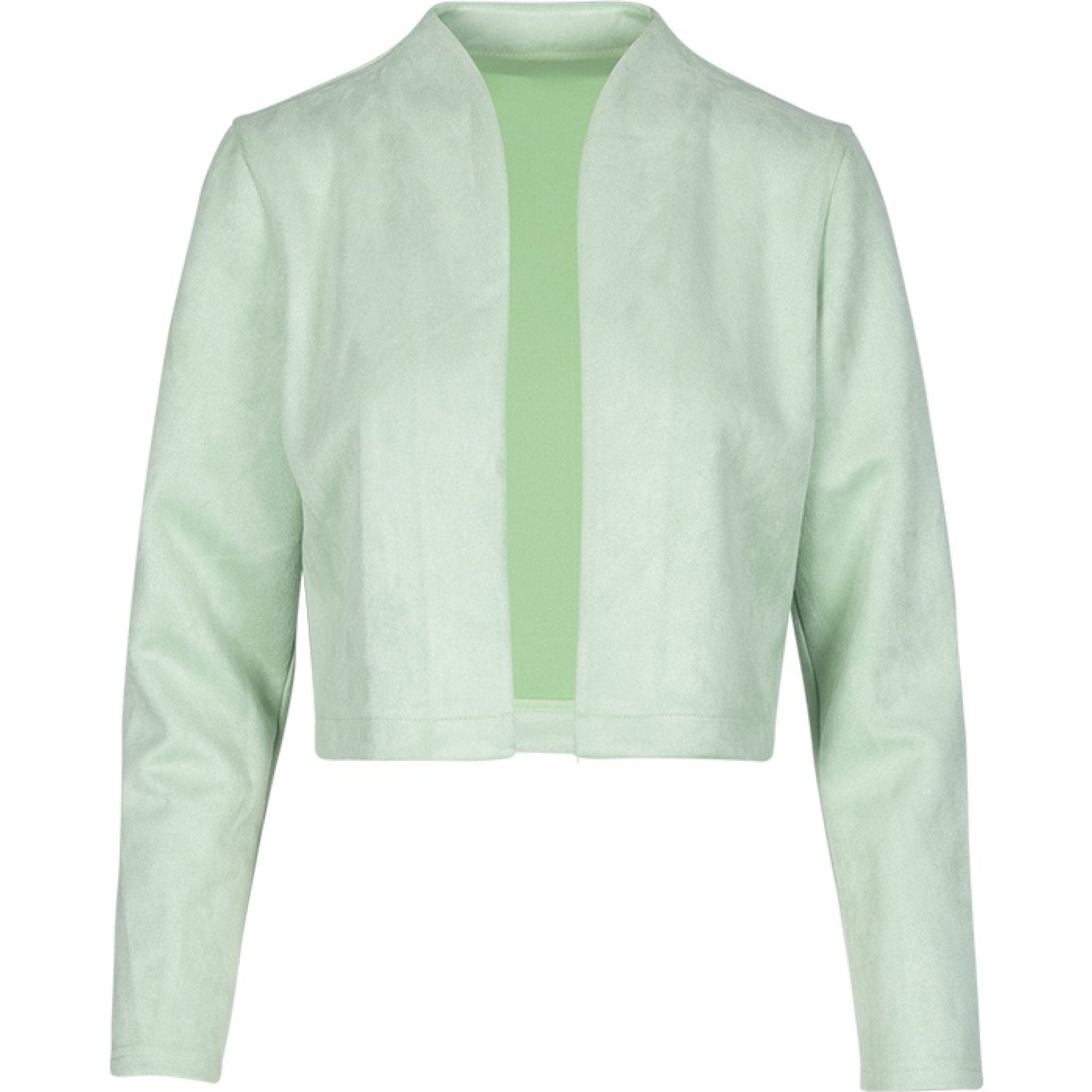 Gina suede jacket aqua